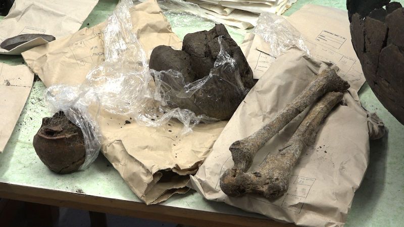 Unikátní objev archeologů na Mostecku: Podívejte se na šest tisíc let staré kosti